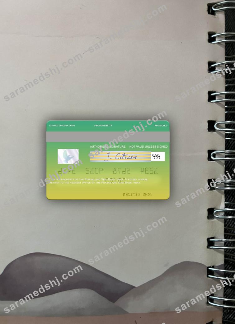 India Punjab and Sind Bank visa photolook back